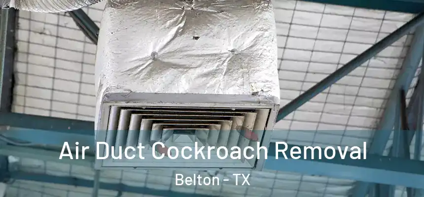  Air Duct Cockroach Removal Belton - TX