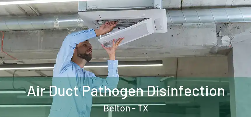 Air Duct Pathogen Disinfection Belton - TX
