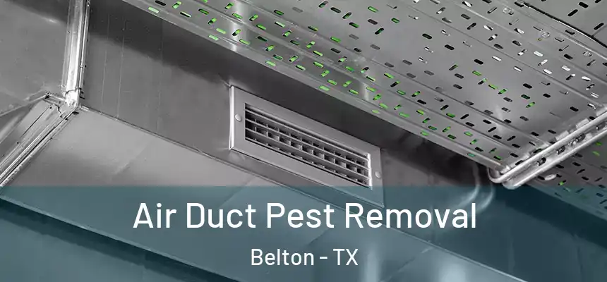 Air Duct Pest Removal Belton - TX