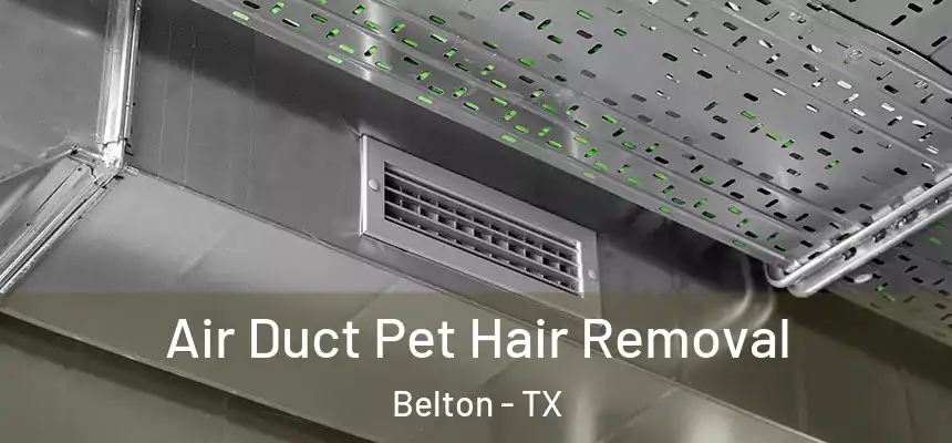  Air Duct Pet Hair Removal Belton - TX