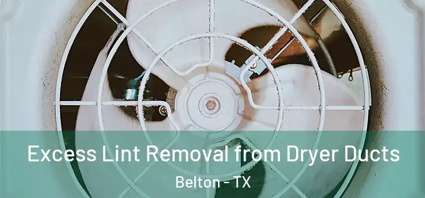 Excess Lint Removal from Dryer Ducts Belton - TX