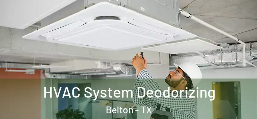 HVAC System Deodorizing Belton - TX