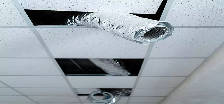 Affordable HVAC Sanitizing After Pest Removal in Belton