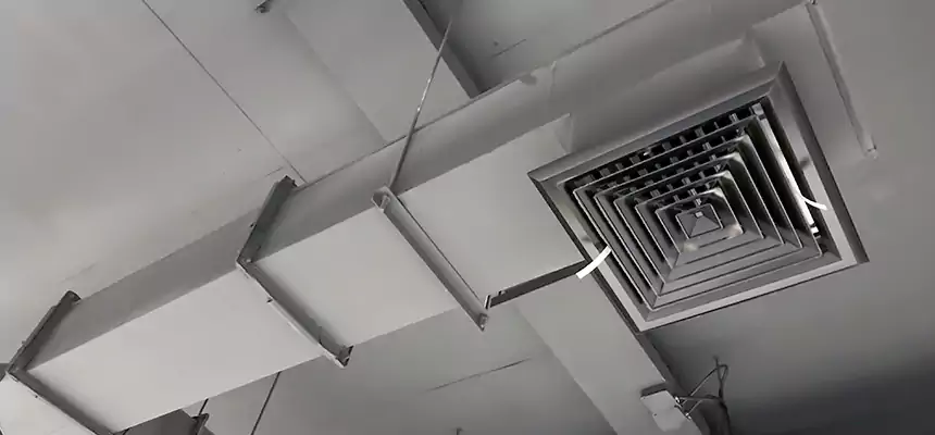 Our Rodent Droppings In Vents Services in Belton, TX