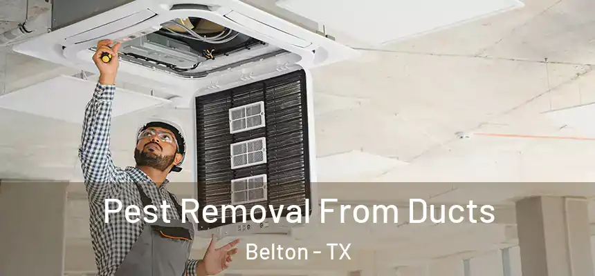  Pest Removal From Ducts Belton - TX