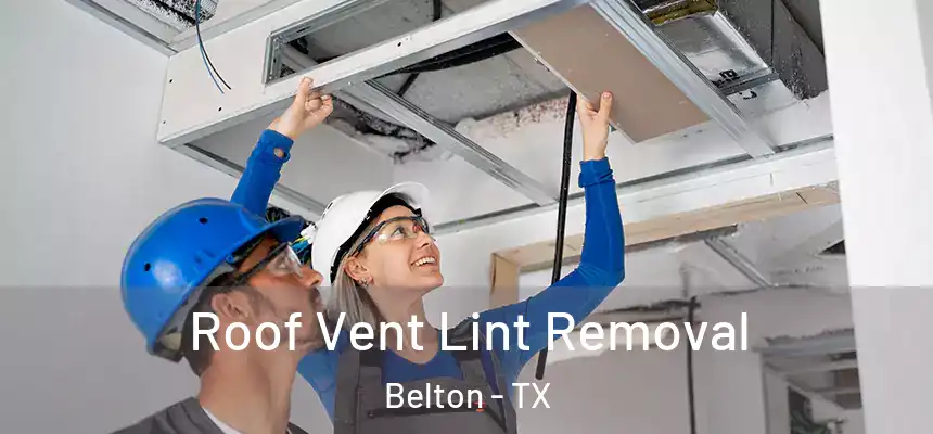  Roof Vent Lint Removal Belton - TX