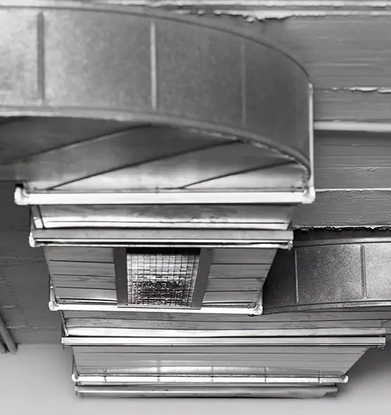 Professional Air Duct Pest Removal in Belton, TX