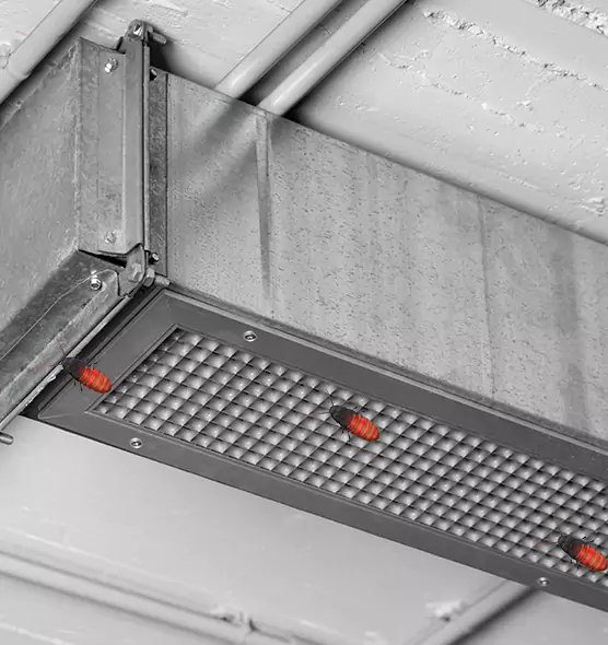 Affordable Insect Removal from Air Ducts in Belton, TX