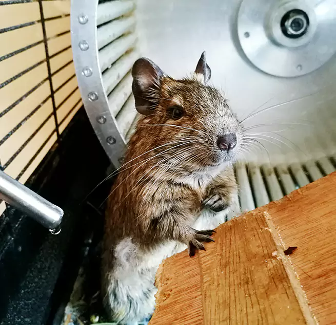 Why Homeowners & Businesses Trust Us Belton, TX