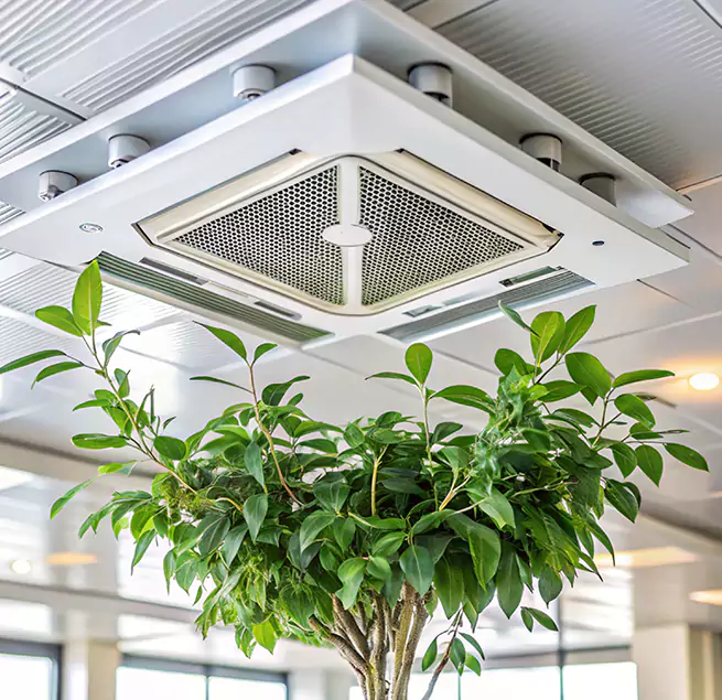 Why Homeowners & Businesses Trust Us in Belton, TX?