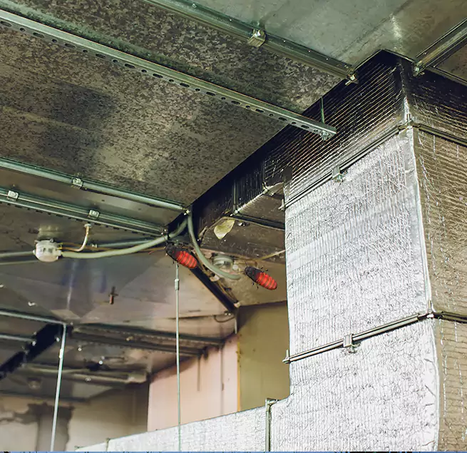 Why Homeowners & Businesses Trust Us Belton, TX?